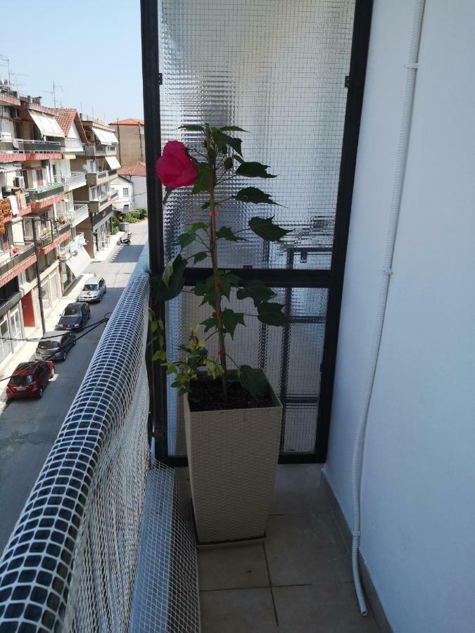 Alexandros Apartment Aridaía Luaran gambar