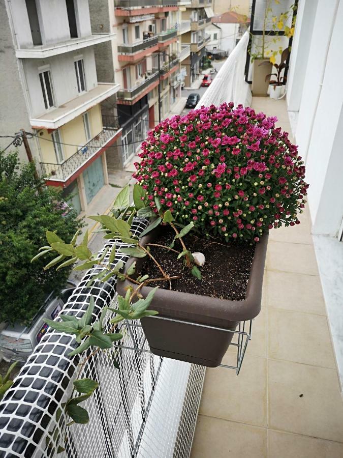 Alexandros Apartment Aridaía Luaran gambar